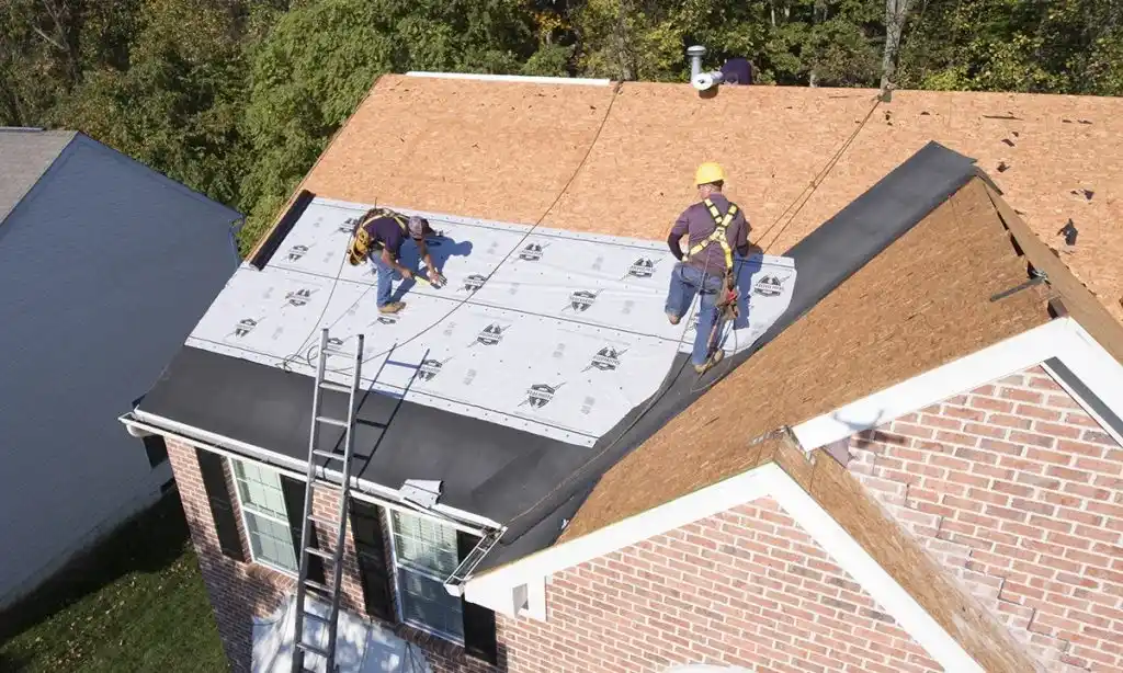 DIY Roof Repair